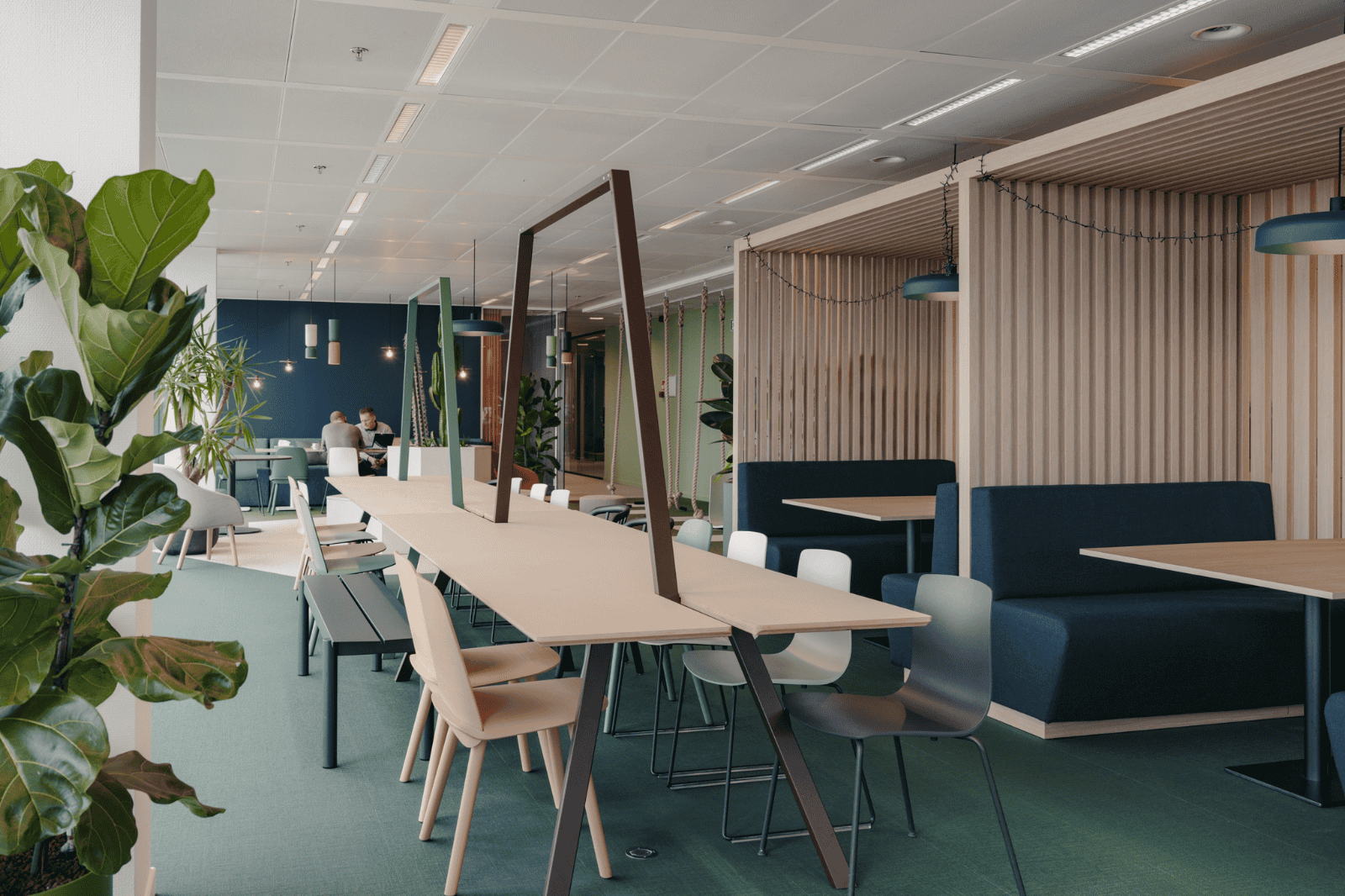 Espace de bureau ouvert avec plantes, bois clair et zones d'assise ludiques
