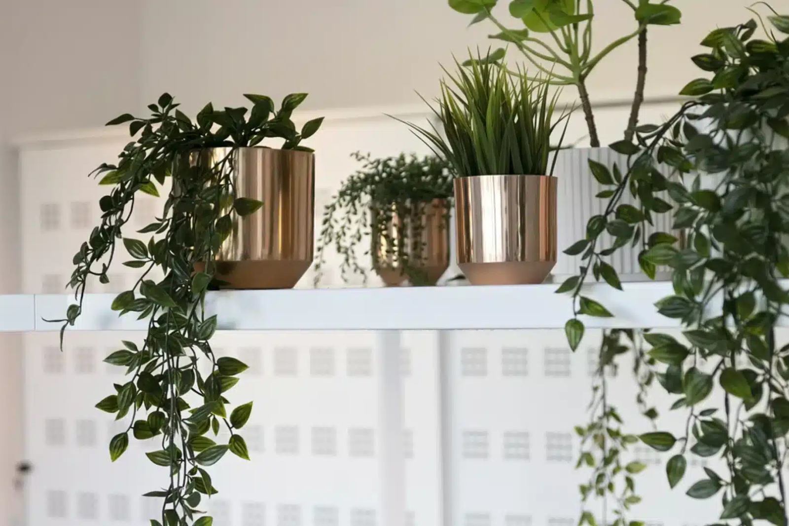 Des plantes sur une étagère murale apportent ambiance et caractère à un petit espace de bureau sans occuper de surface au sol.