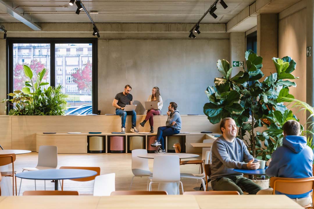Zone de concertation informelle avec plantes et éléments d’assise souples qui adoucissent l’acoustique dans un bureau avec beaucoup de béton.
