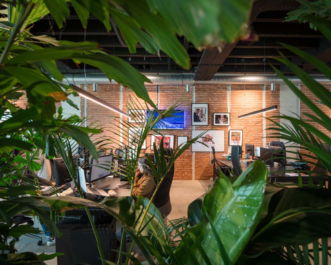 Un collaborateur travaille de manière concentrée dans un bureau paysager ouvert avec des plantes qui aident à atténuer le bruit ambiant.
